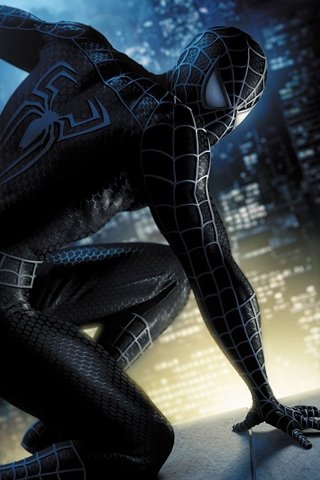 phoca_thumb_l_jwarren-spiderman-black